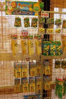 ファイル名: DSC0938.jpg
ファイルサイズ: 24.6KB DSC0938